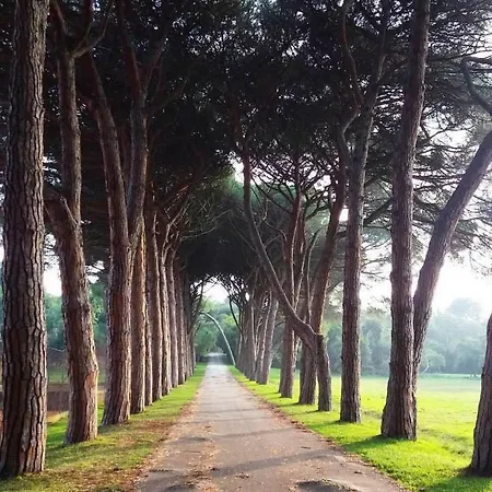 Daire Casadigioia - Genco *